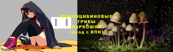 прущий лед Арсеньев